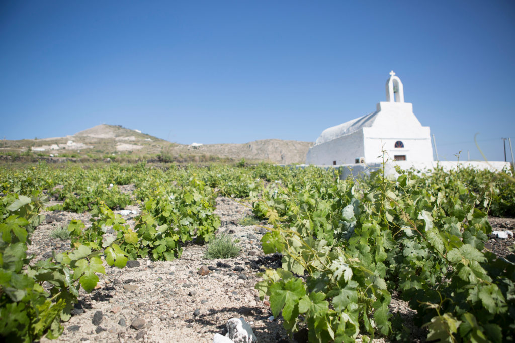 Santorini wine tour