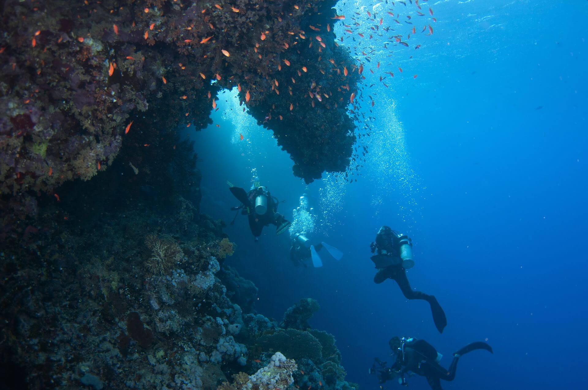 The Best Scuba Diving Spots in Mykonos | Kivotos Hotels